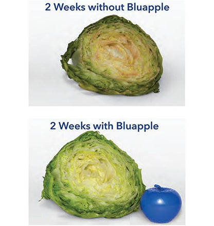 Bluapple 2-Pack