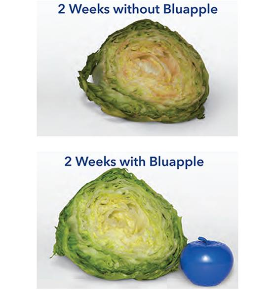 Bluapple® 1-års påfyllnad